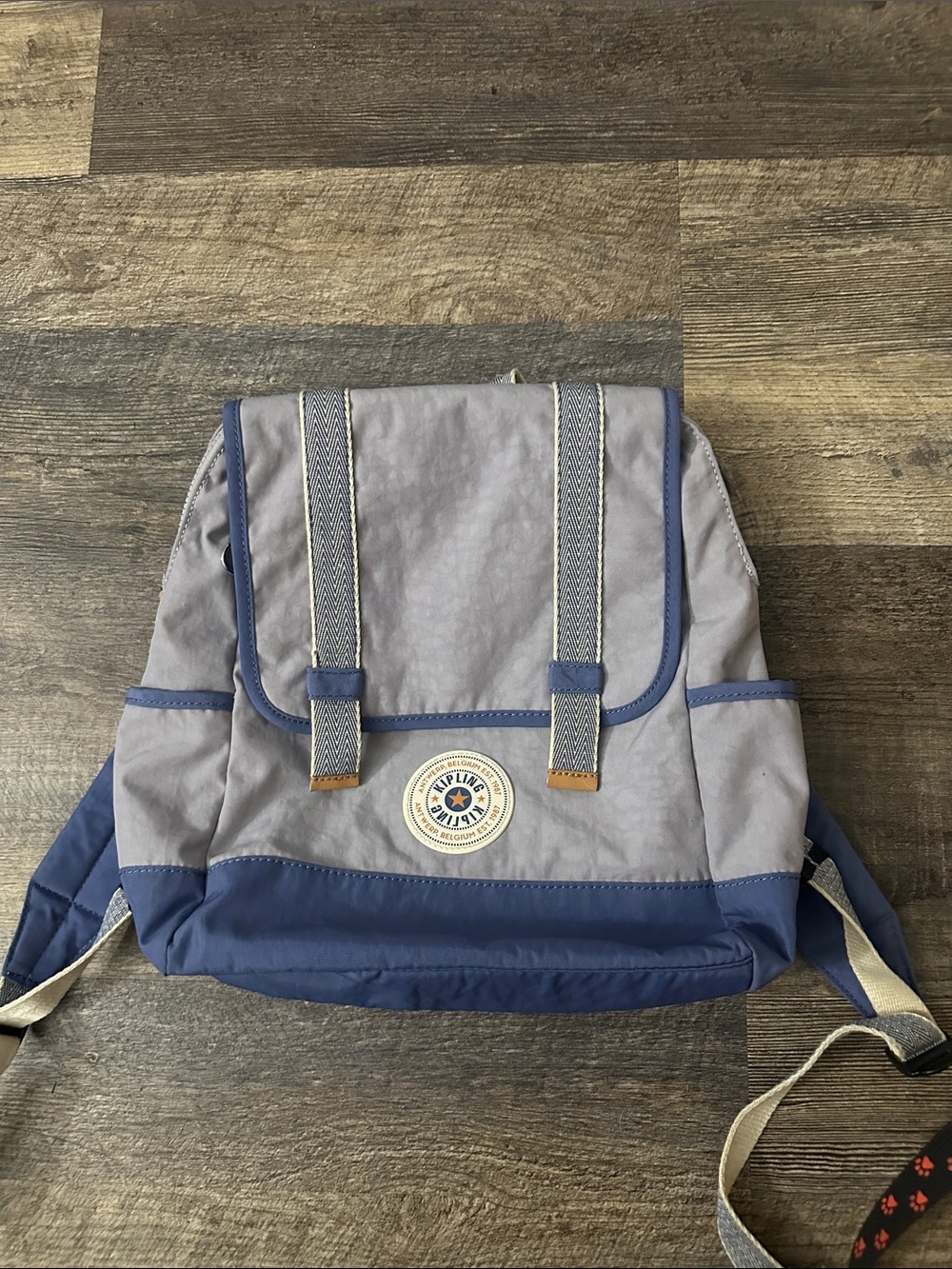 Vintage Kipling Backpack Gray Blue Nylon Rucksack Y2K Travel